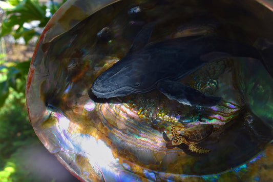 The Humpback and her Friend