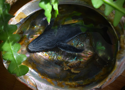 The Humpback and her Friend