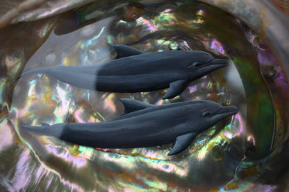 Dolphin Duo